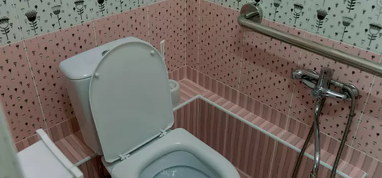 Meeting Diverse Needs With Accessible Restroom Solutions in Lorain, OH