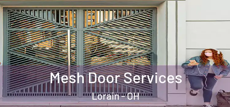 Mesh Door Services Lorain - OH
